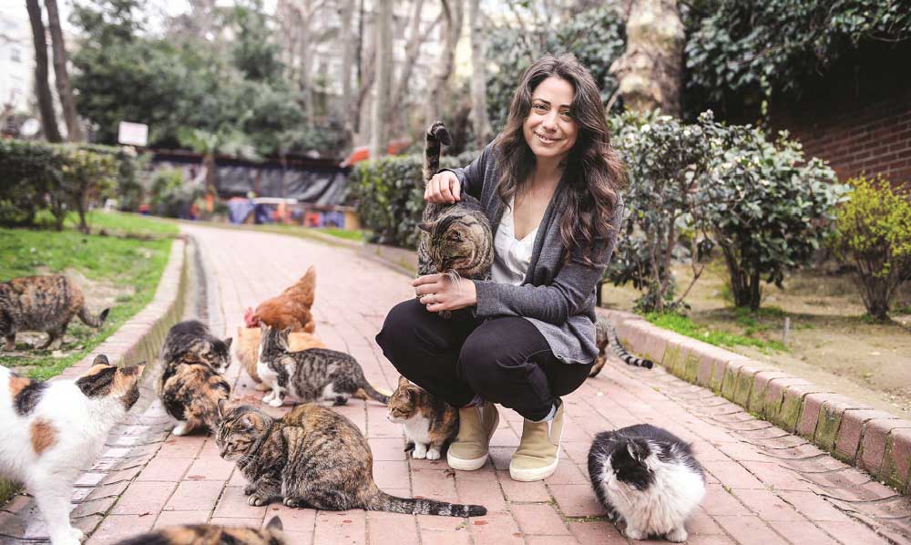 Yönetmen Ceyda Torun'un İşine ve Kedilere Aşık Tavrı