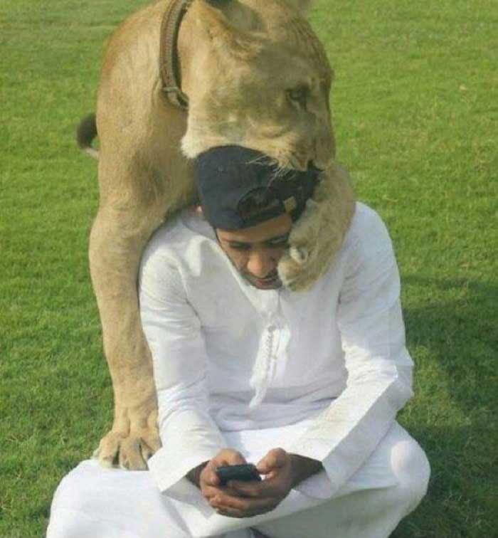 Dubai Zenginlerinin Kiskandiran Fotograflari 25