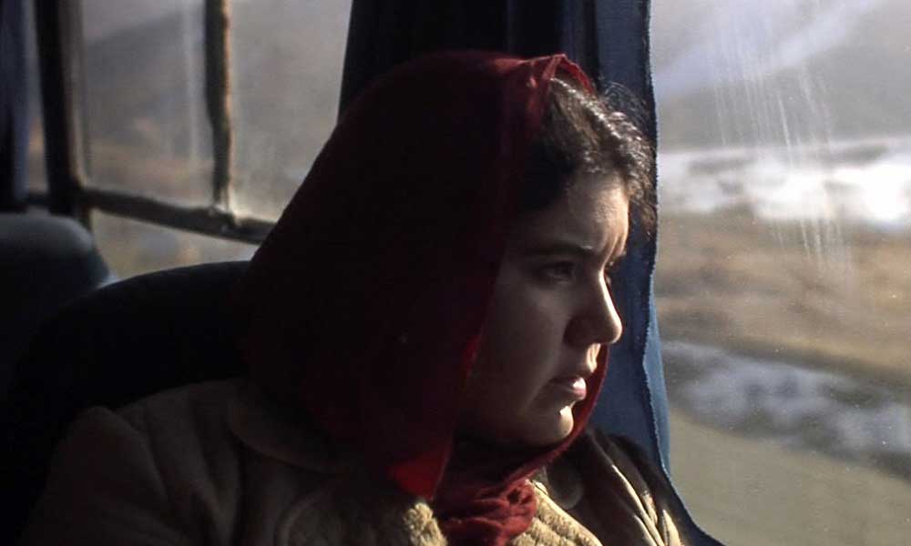 Gitmek: Benim Marlom ve Brandom (2008 - Hüseyin Karabey)