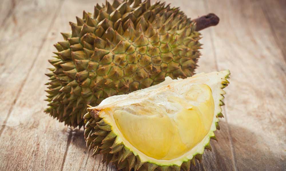 Kotu Kokusuyla Meshur Durian Cinlilerin Talebiyle Malezya Yi Ihya Edecek Paratic