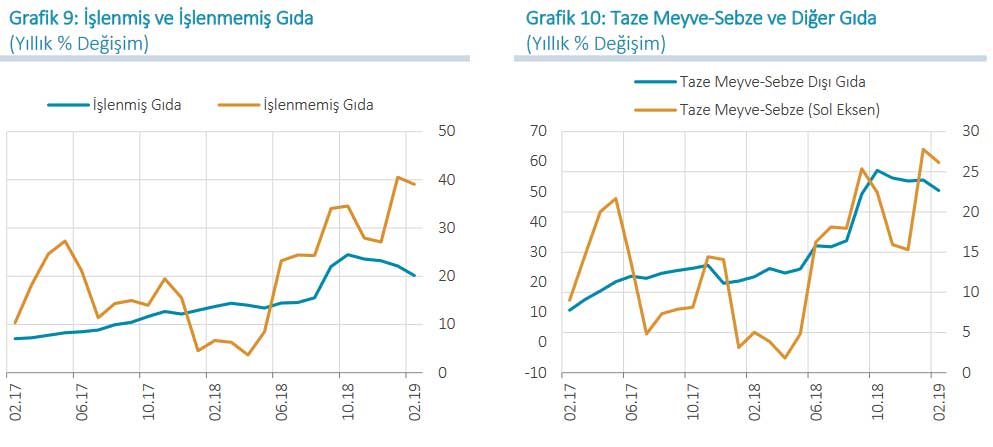 İşlenmiş - İşlenmemiş Gıda Enflasyonu - Şubat 2019
