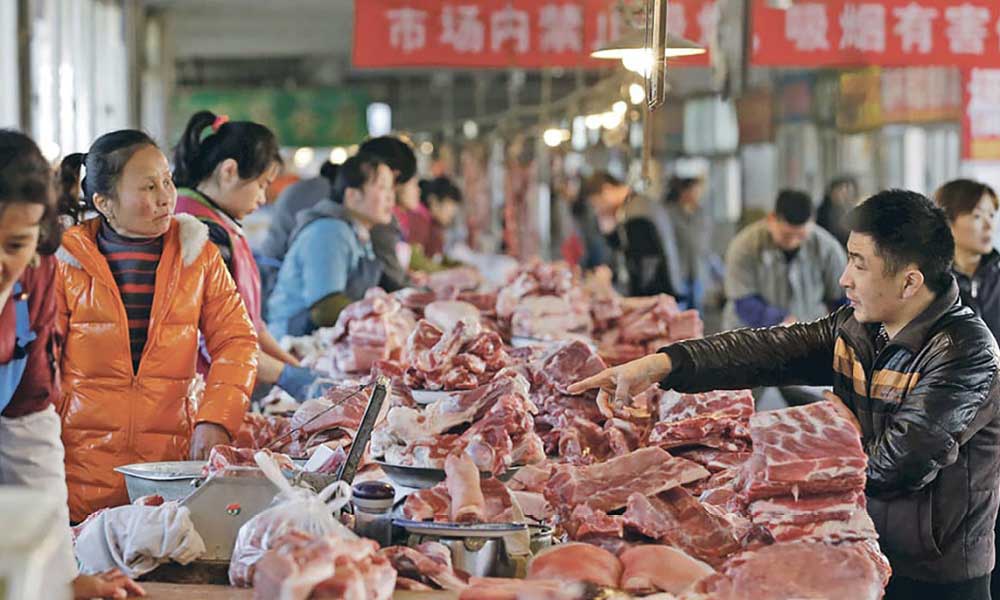 Çin Küresel Domuz Arız Yarısını ve Dünya Etinin Yüzde 28 Tüketiyor 