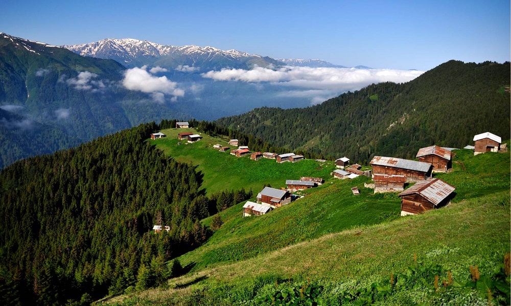 Dogu Karadeniz 101 Ulke Ihracat