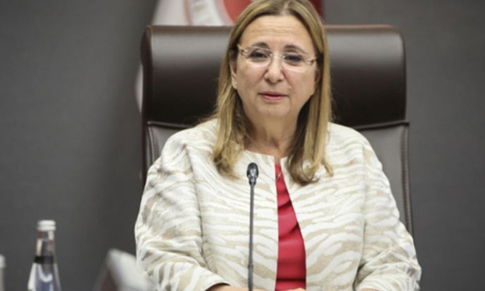 MERSİS ETBİS PERBİS Bünyesinde Yapılan Çalışmalar Hakkında Açıklamalar yaptı