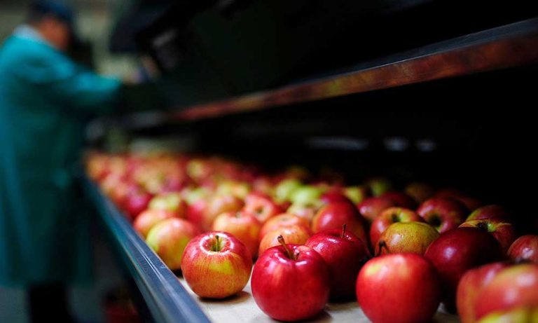Çin’de Elma Fiyatlarının Yükselmesi Hükümeti Endişelendiriyor
