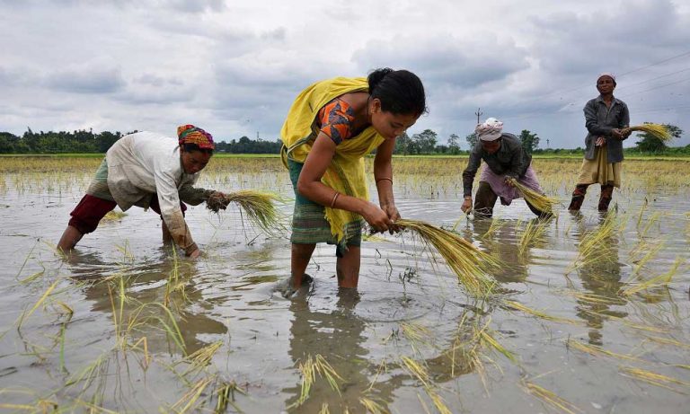 Hindistan Ekonomik Yavaşlamasını Durdurmak için Büyük Yağışlara İhtiyaç Duyabilir