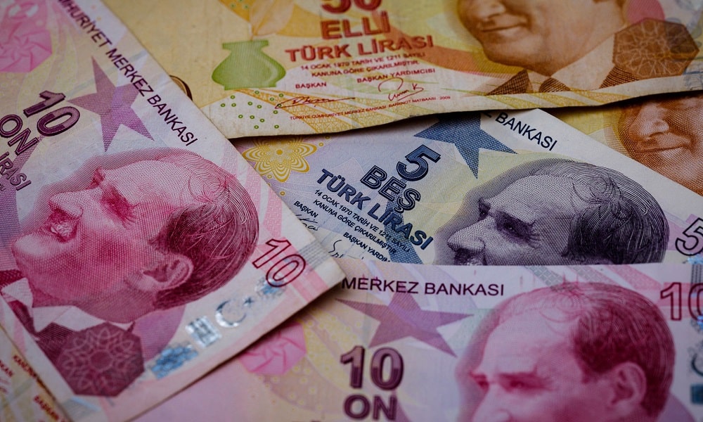 TL Yükselişin Nedenleri