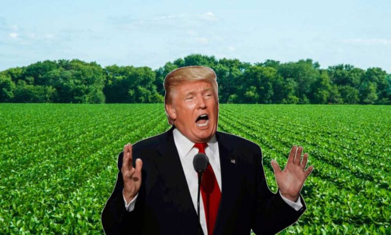 Çin Trump’ın Tarifelerine Misilleme Olarak ABD Tarım İthalatını Durdurdu