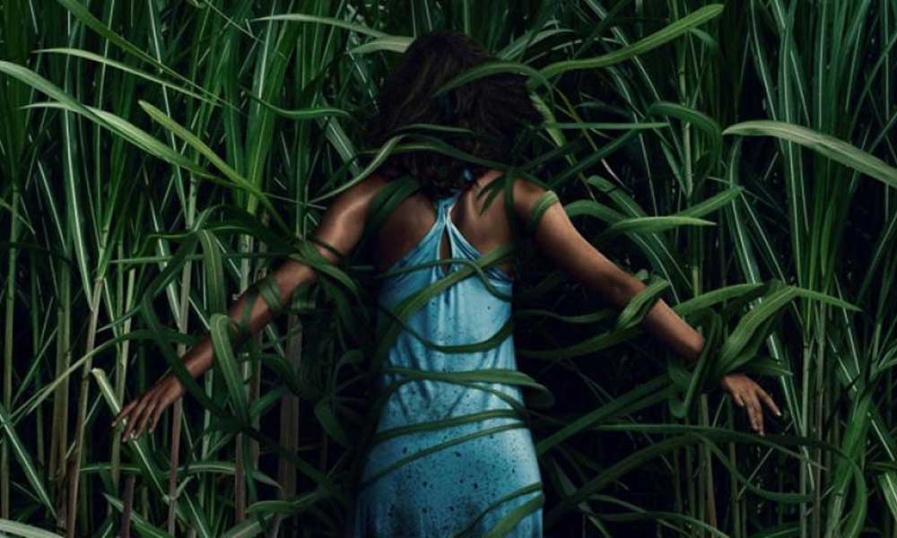 Stephen King’in Unutulmaz Eserlerinden In the Tall Grass Netflix ile Geliyor
