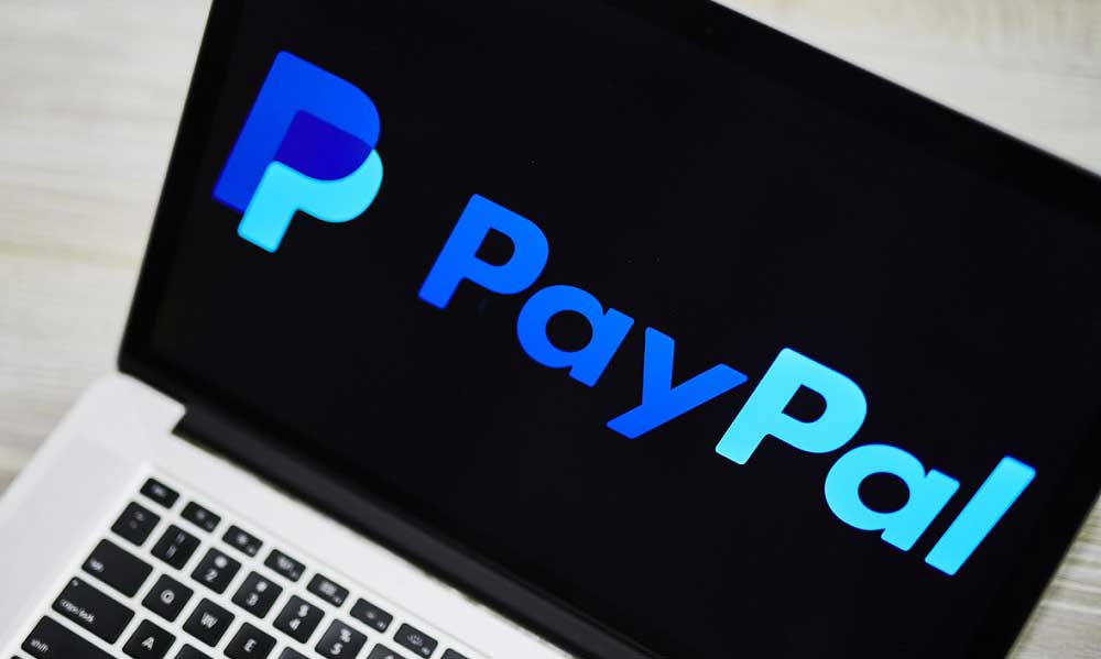 PayPal Venmo Büyümesi Parlak 