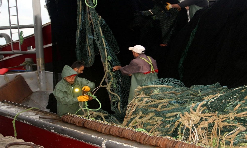 Balıkçılar Bollukla Karşı Karşıya Kaldı