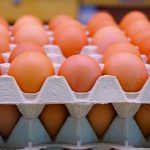 Afyonlu Yumurta Üreticileri İhracatta Yeni Pazar Arayışında Arap Ülkelerine Yöneldi