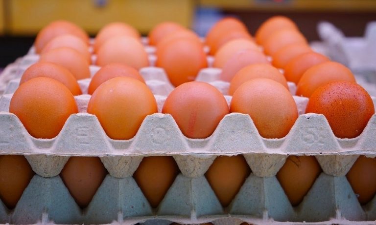 Afyonlu Yumurta Üreticileri İhracatta Yeni Pazar Arayışında Arap Ülkelerine Yöneldi