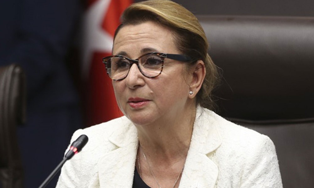 Bakan Pekcan Sektör Küresel Oyuncu Açıklaması