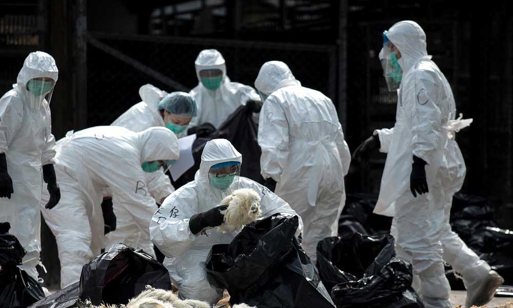 Çin Yeni Virüs Endişe İlaç Üretici Hisse Yükseldi