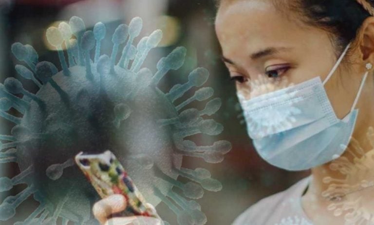 Çinli İlaç ve Yüz Maskesi Şirketlerinin Hisseleri, Artan Virüs Endişeleriyle Yükseldi