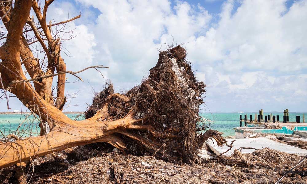 İklim Değişikliği Davos’a Öncülük Etse de CEO’ların İlk 10 Riski Arasında Değil