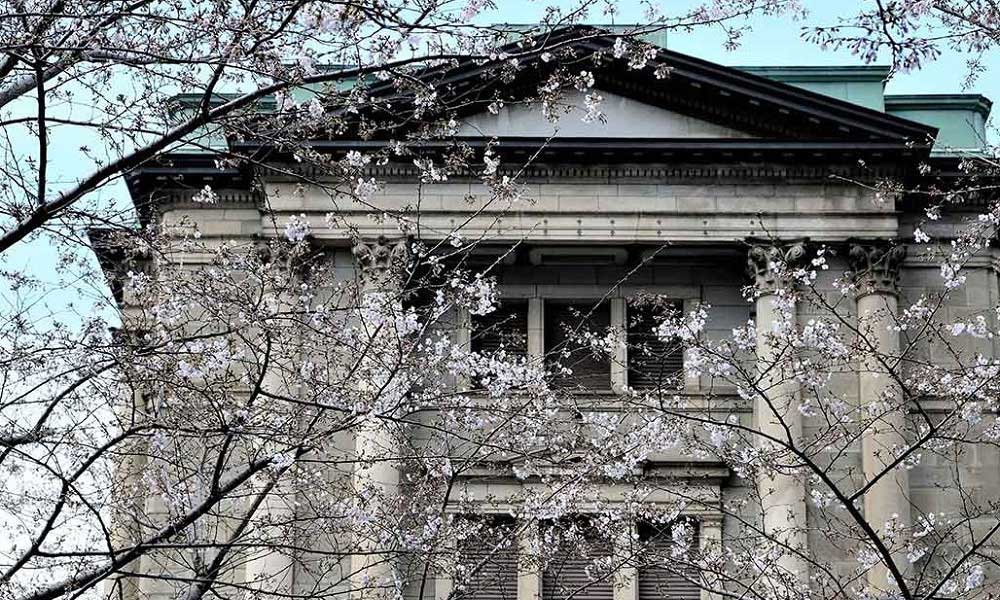 Japonya Merkez Bankası Ocak 2019 Kararı 