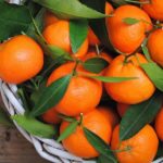 Ocak Ayında Rusya’ya 55 Bin 26 Ton Mandalina İhraç Edildi