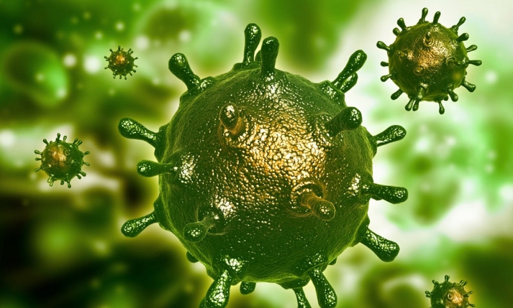 Koronavirüse Karşı Birlikte Mücadele