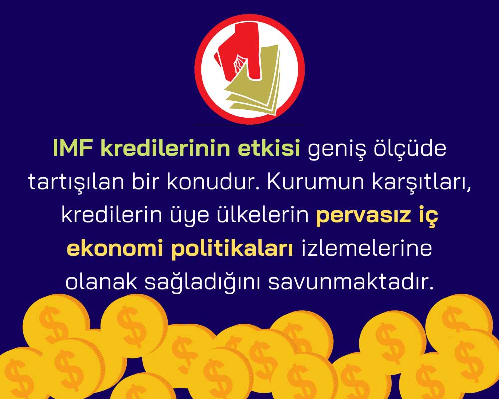 IMF’ye Yönelik Eleştiriler