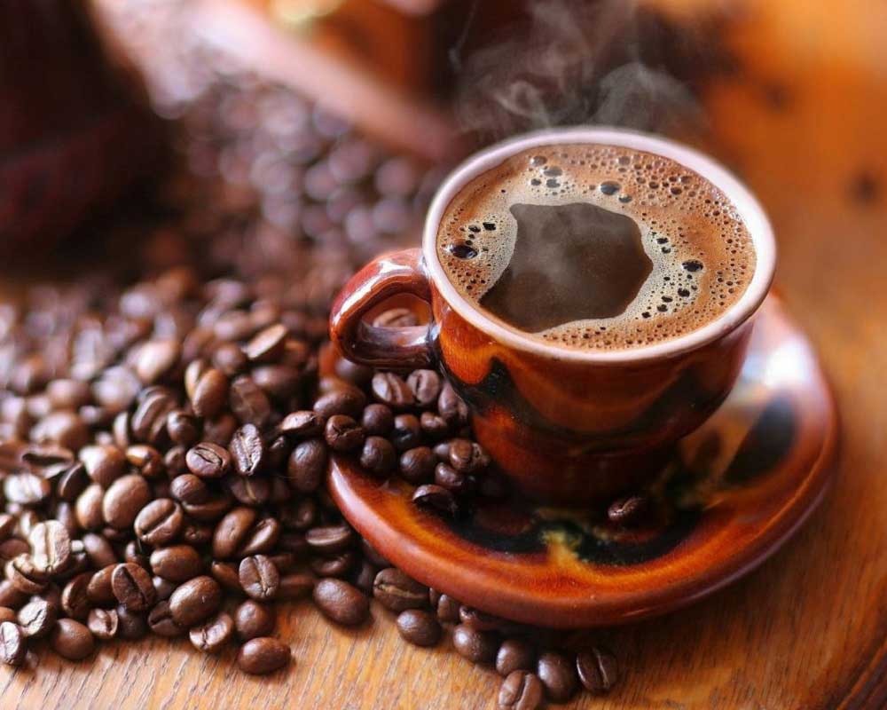 Kopi Luwak Yapılışı