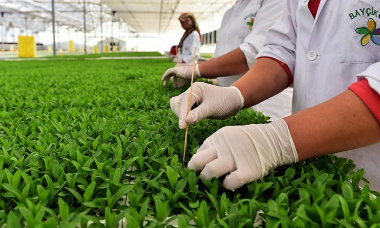 Yurt İçi Üretici Fiyat Endeksi Şubat’ta Aylık %0,48 Artış Gösterdi