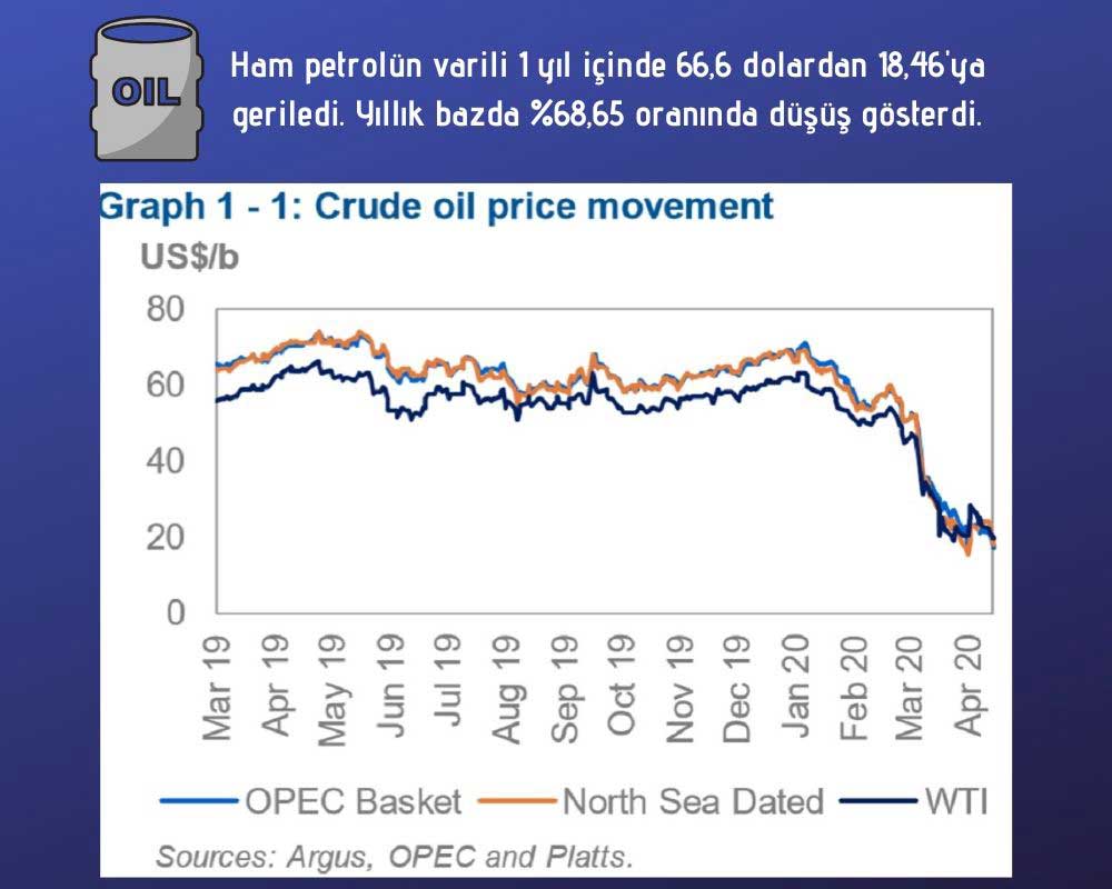 Ham Petrol Yıllık Fiyat Değişimi