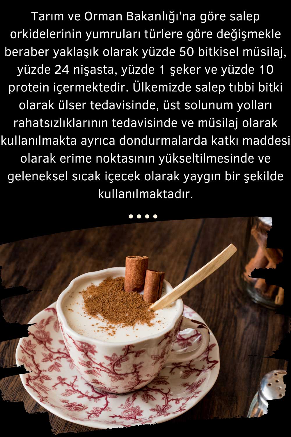 47. Salep Yetiştirmek 47. Salep Yetiştirmek