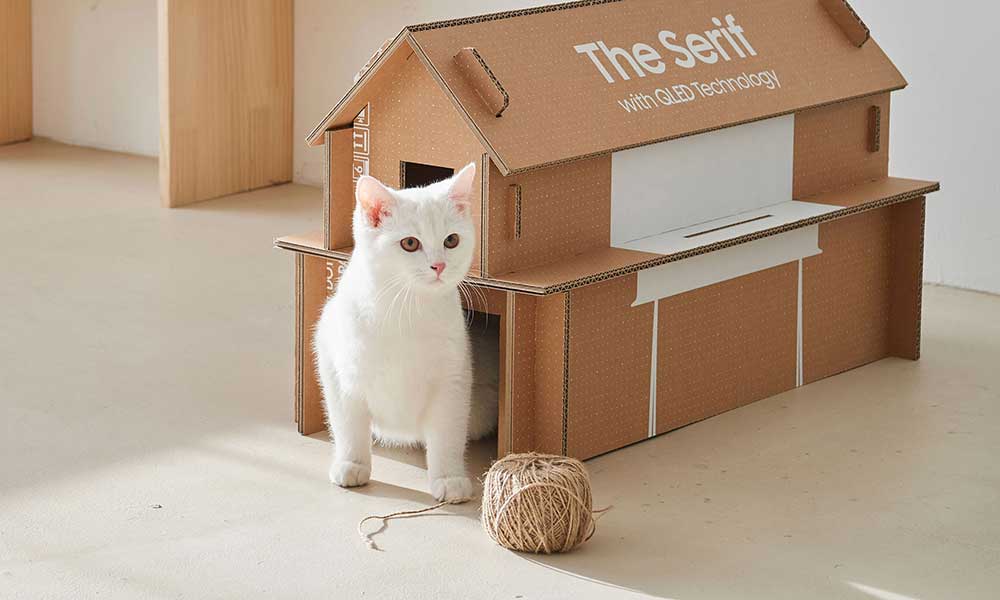 Samsung Televizyon Kutuları Kedi Evi Olarak Değerlendirilecek Paratic