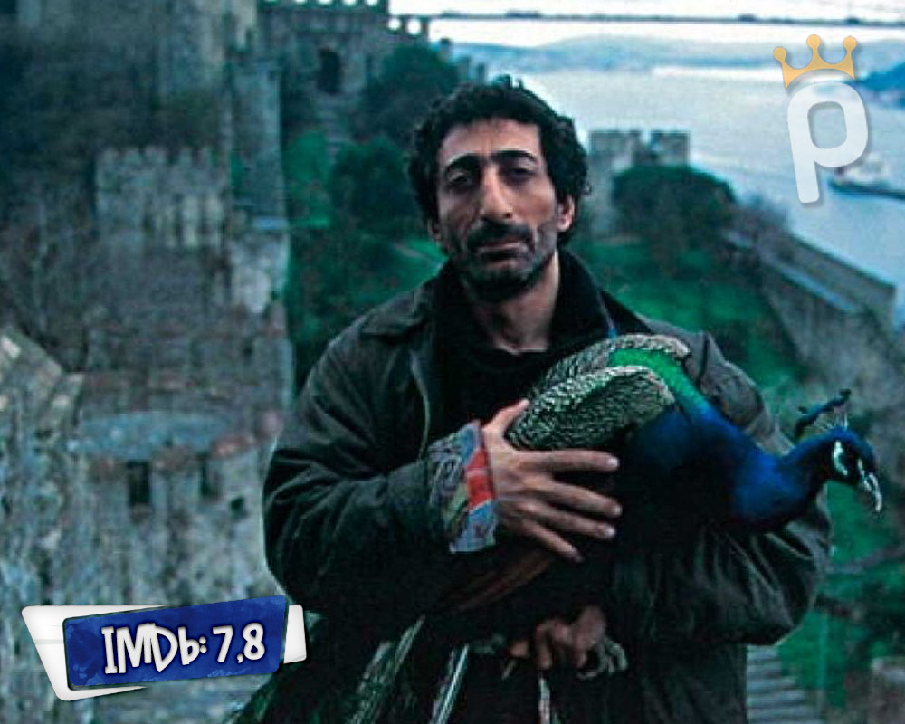 Tabutta Rövaşata