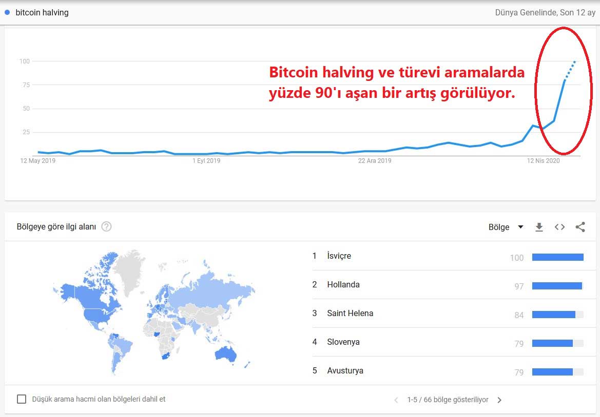 Google Trends Bitcoin Halving Araması