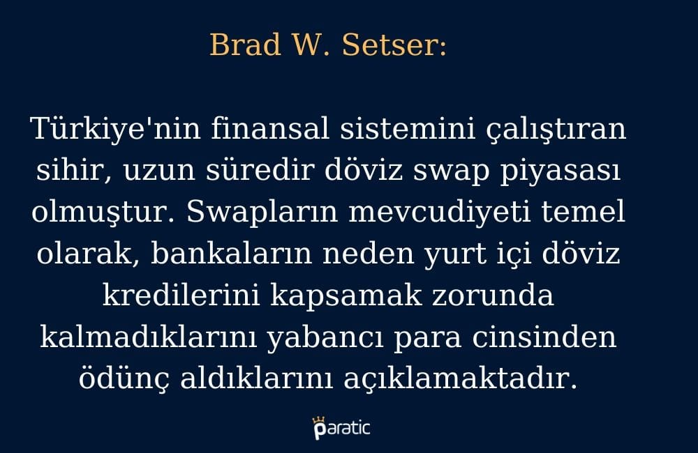 Brad W. Setser Türkiye Yorumu