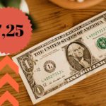 Dolar Kuru 7,25 ile Tüm Zamanların Zirvesine Ulaştı