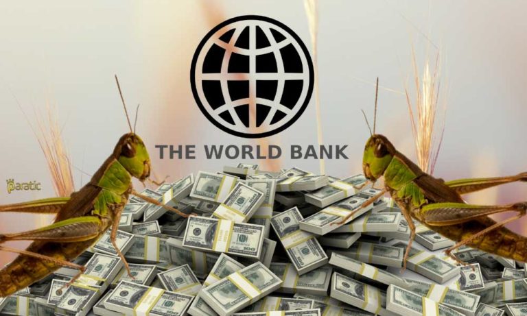 Dünya Bankası Çekirge İstilasına Karşı Büyük Bir Destek Paketi Hazırlıyor