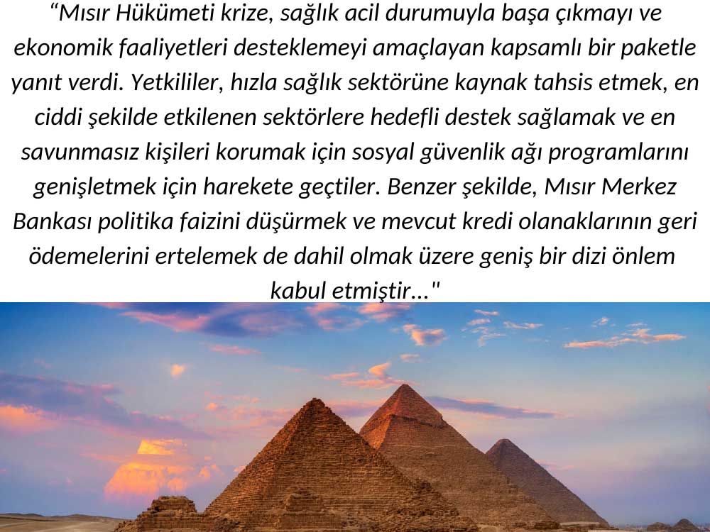 Mısır Salgın Çabası