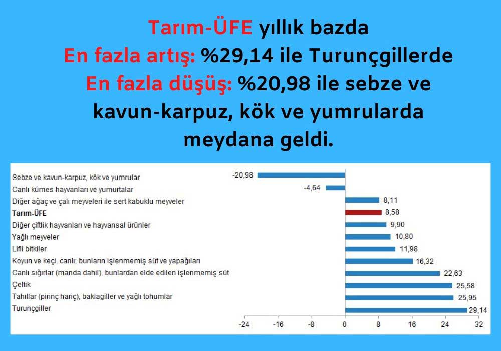 Yıllık En Fazla Artış Yıllık En Fazla Artış