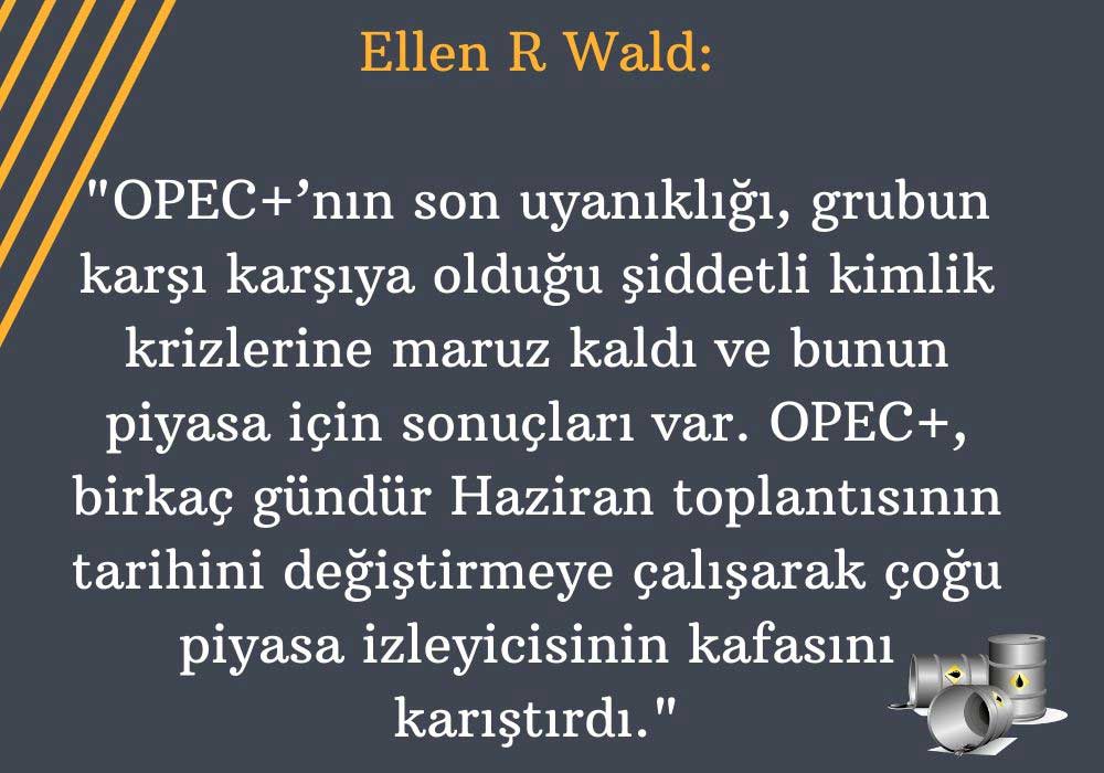 Ellen R Wald Petrol Yorumu