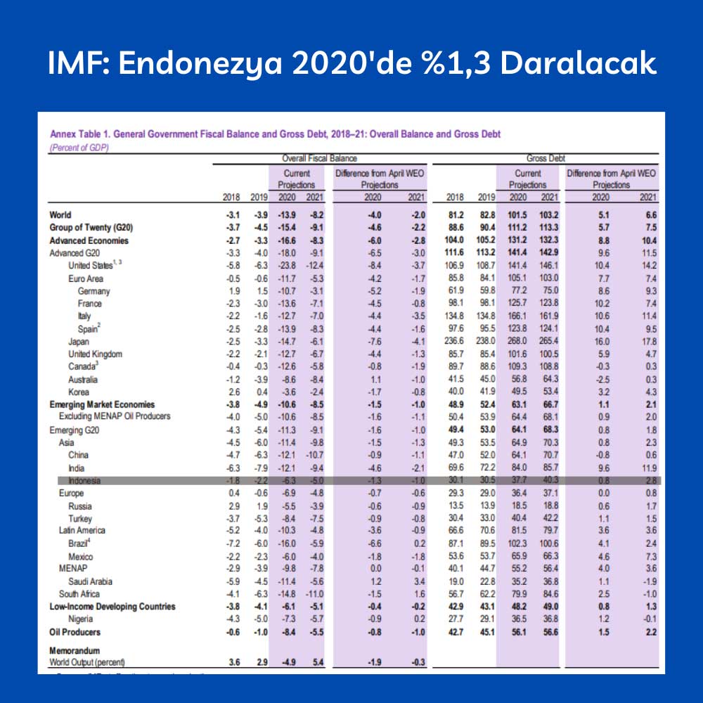 IMF Endonezya Tahmini 
