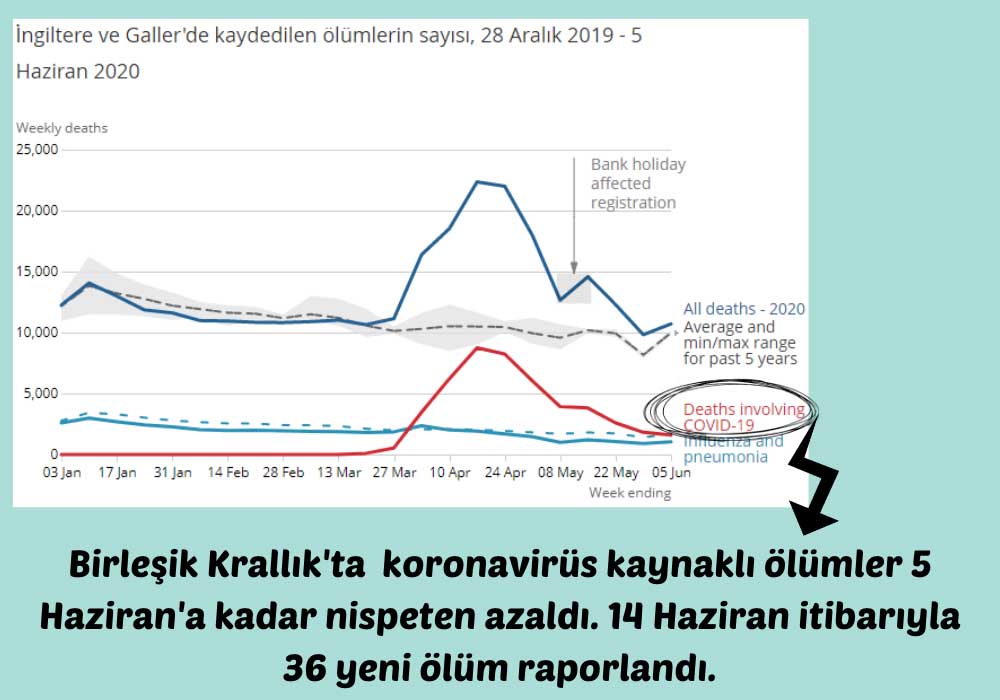 İngiltere Korona Kaynaklı Ölümler İngiltere Korona Kaynaklı Ölümler