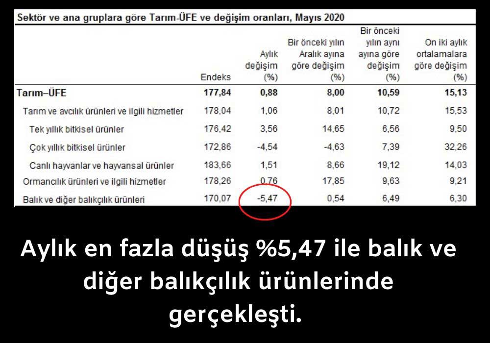 Ana Gruplarda En Çok Azalan Balıkçılık Ürünleri Ana Gruplarda En Çok Azalan Balıkçılık Ürünleri
