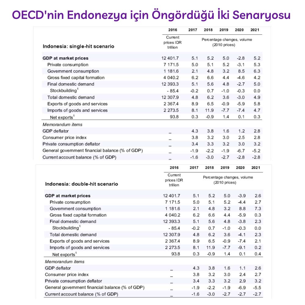 OECD Endonezya İki Senaryo 