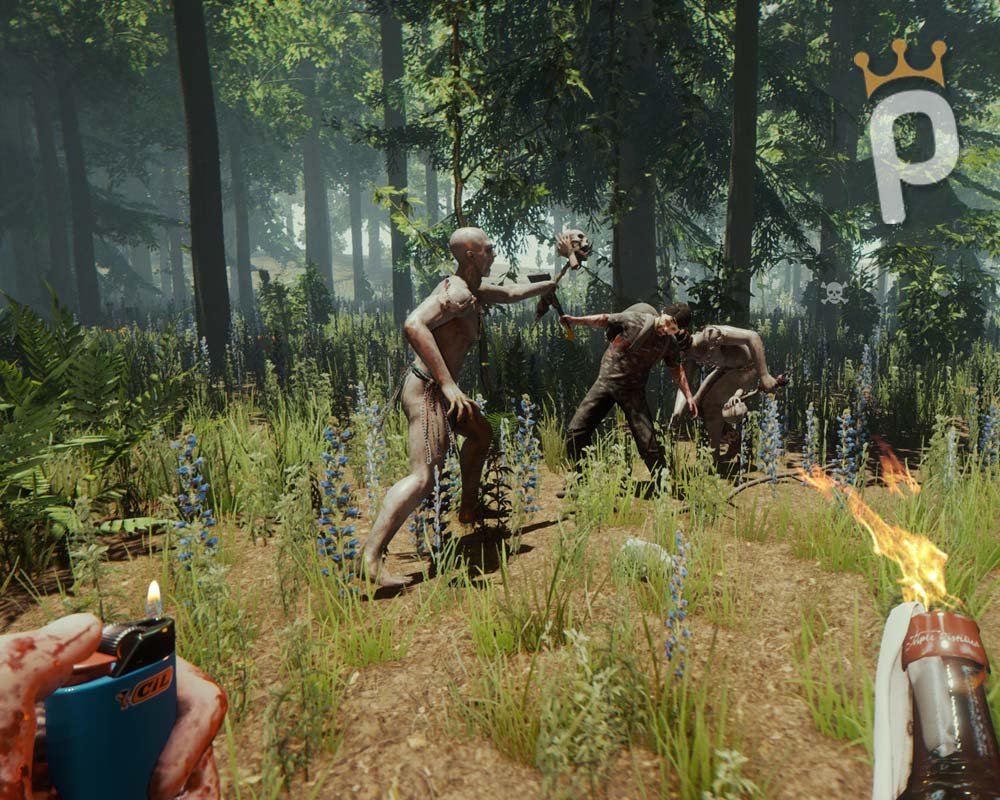 The Forest