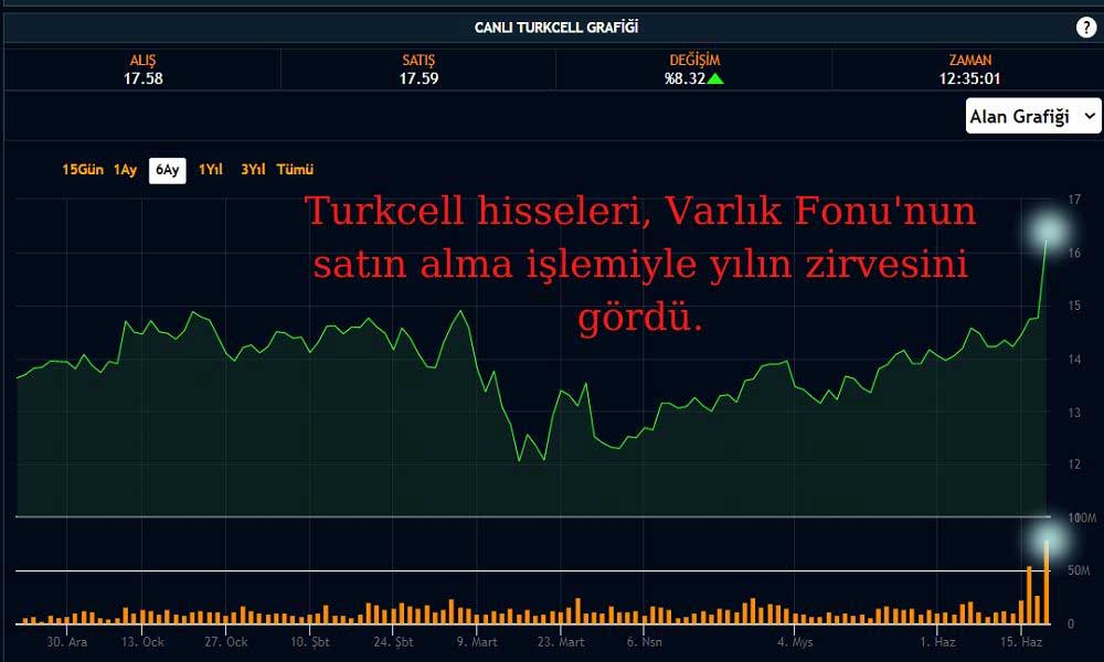 Turkcell Hisseleri Yılın Zirvesinde