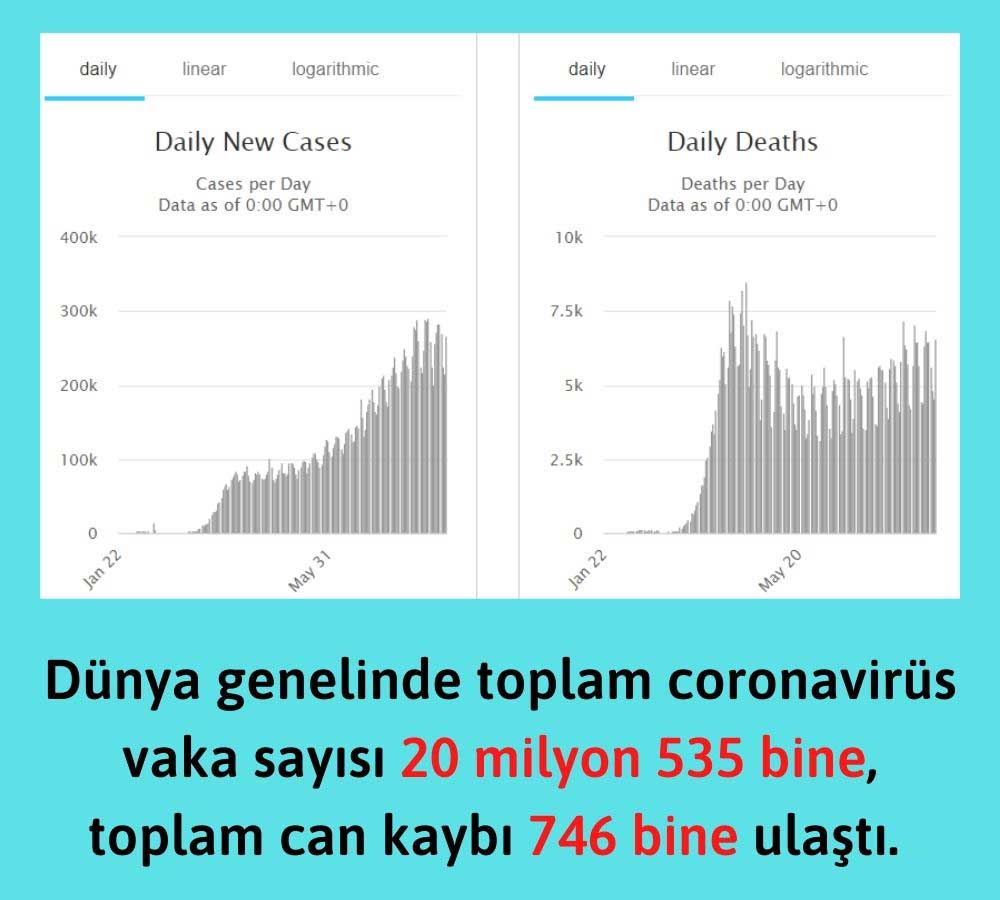 12 Ağustos Coronavirüs Tablosu 12 Ağustos Coronavirüs Tablosu