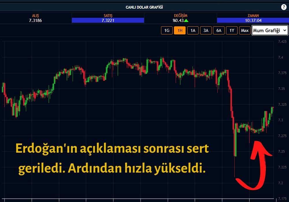Dolar 7,32 Dolar 7,32
