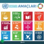 BM Sürdürülebilir Kalkınma Hedefleri, Covid-19 Pandemisiyle Daha Önemli Hale Geldi