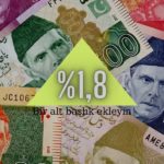 Pakistan Ekonomisi 2020-21 Mali Yılında Toparlanan Özel Tüketimle %1,8 Büyüyebilir
