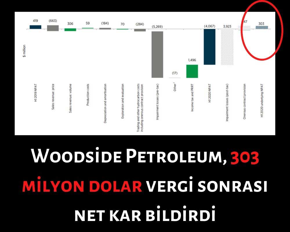 Woodside Petroleum Finansal Sonuçları 