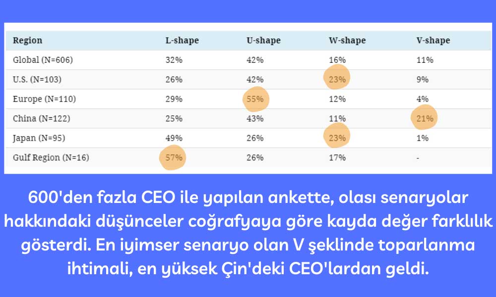 CEO Anketi Coğrafya Farklılıklar 